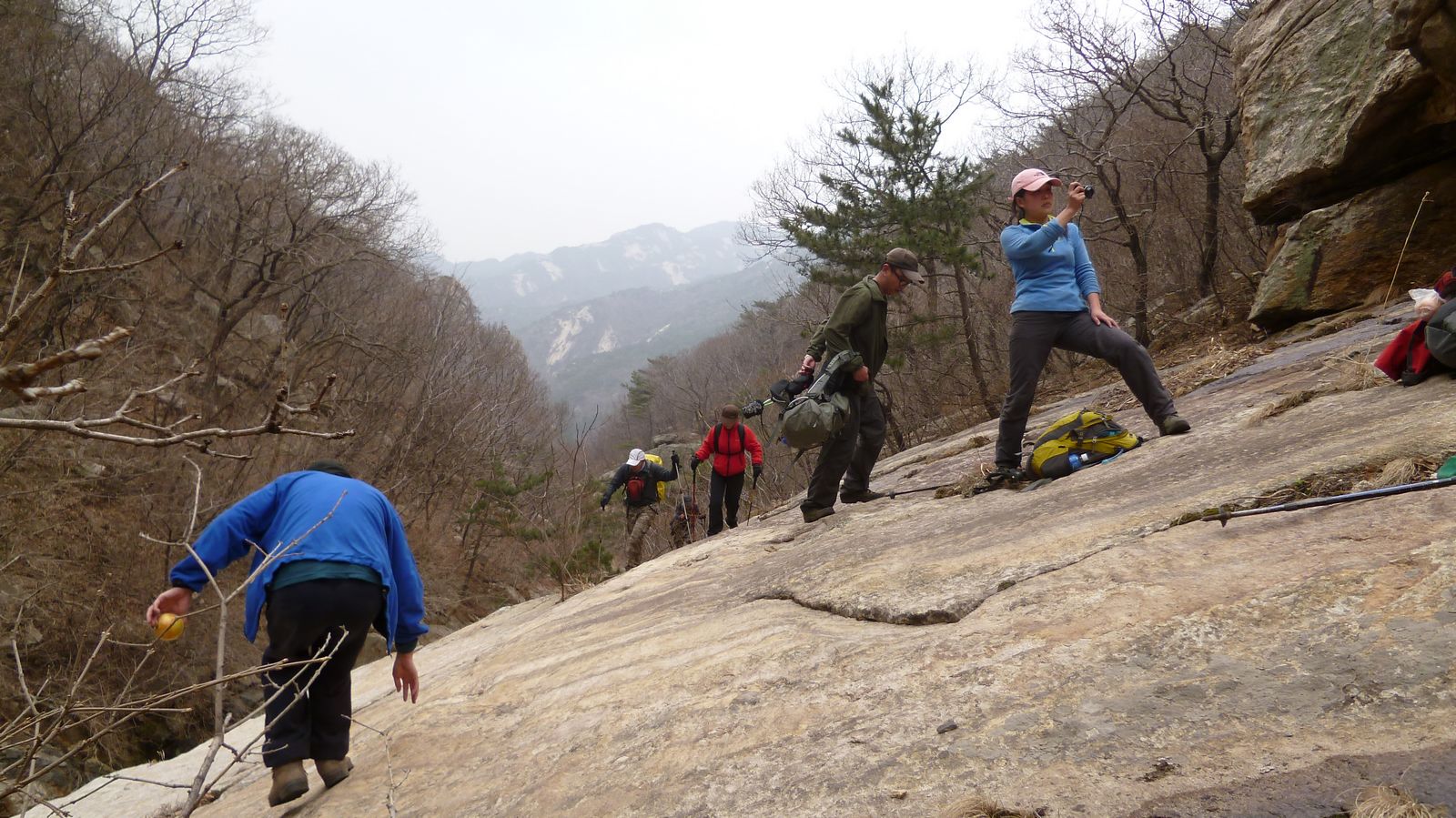 P1030629.jpg