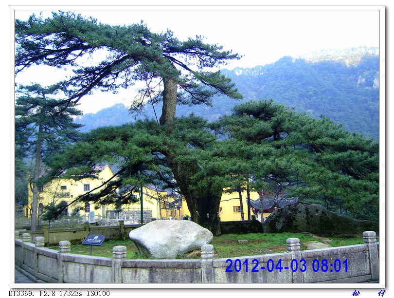 PICT1228.jpg