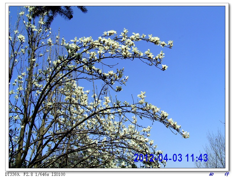PICT1333.jpg