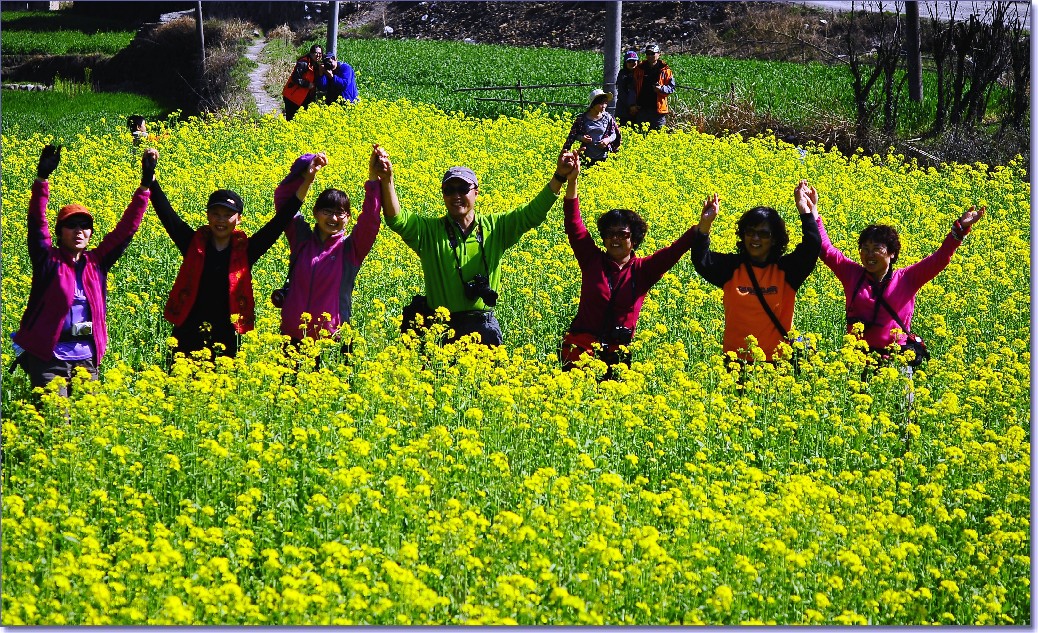 2012油菜花之行 163.jpg