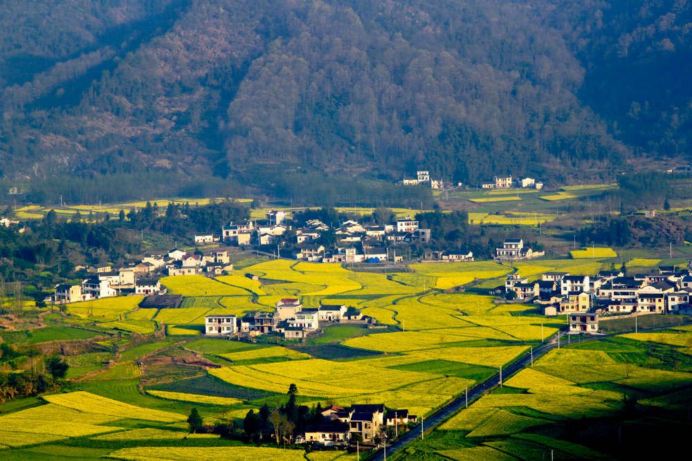 柯村.jpg