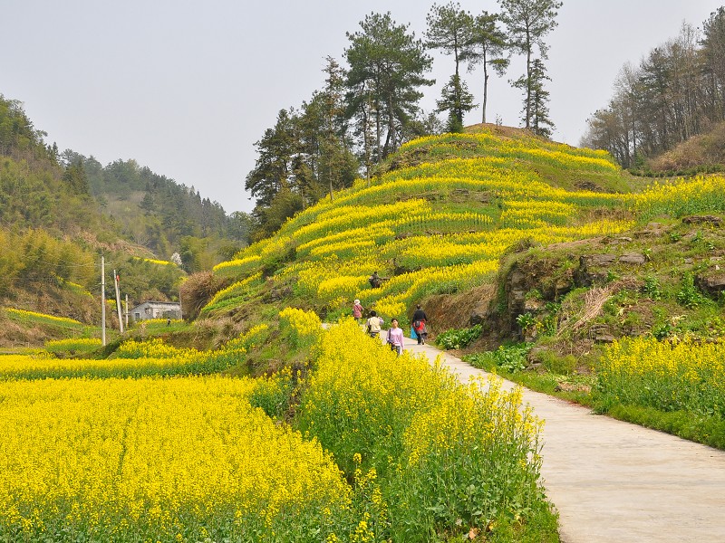 PhotoCap_060.jpg