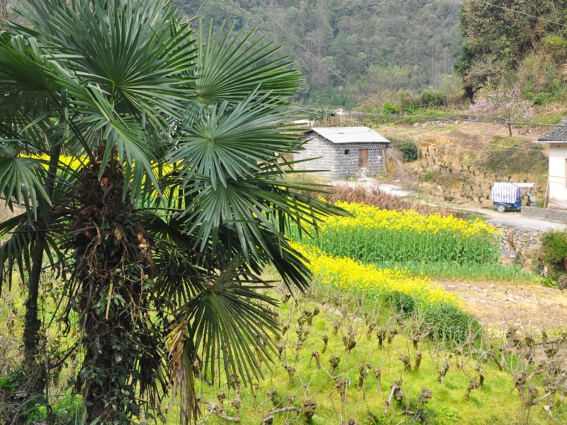 PhotoCap_054.jpg