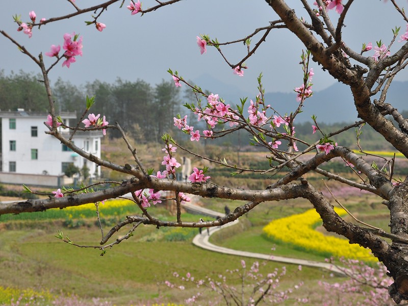 PhotoCap_073.jpg