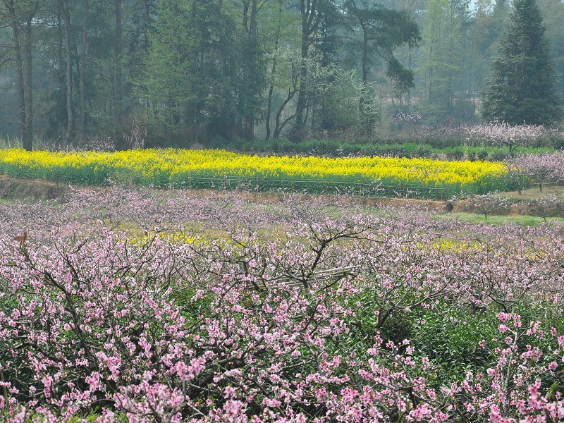 PhotoCap_075.jpg