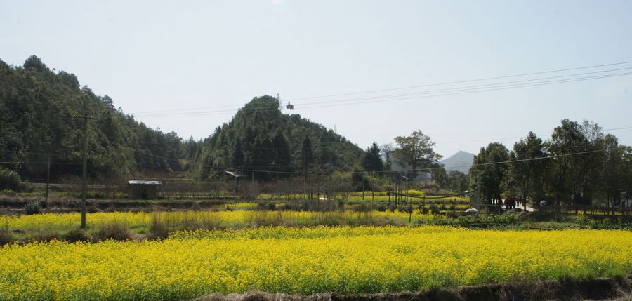 DSC05638.JPG