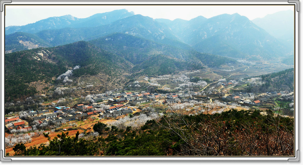 复件 DSC_88811 Panorama.jpg
