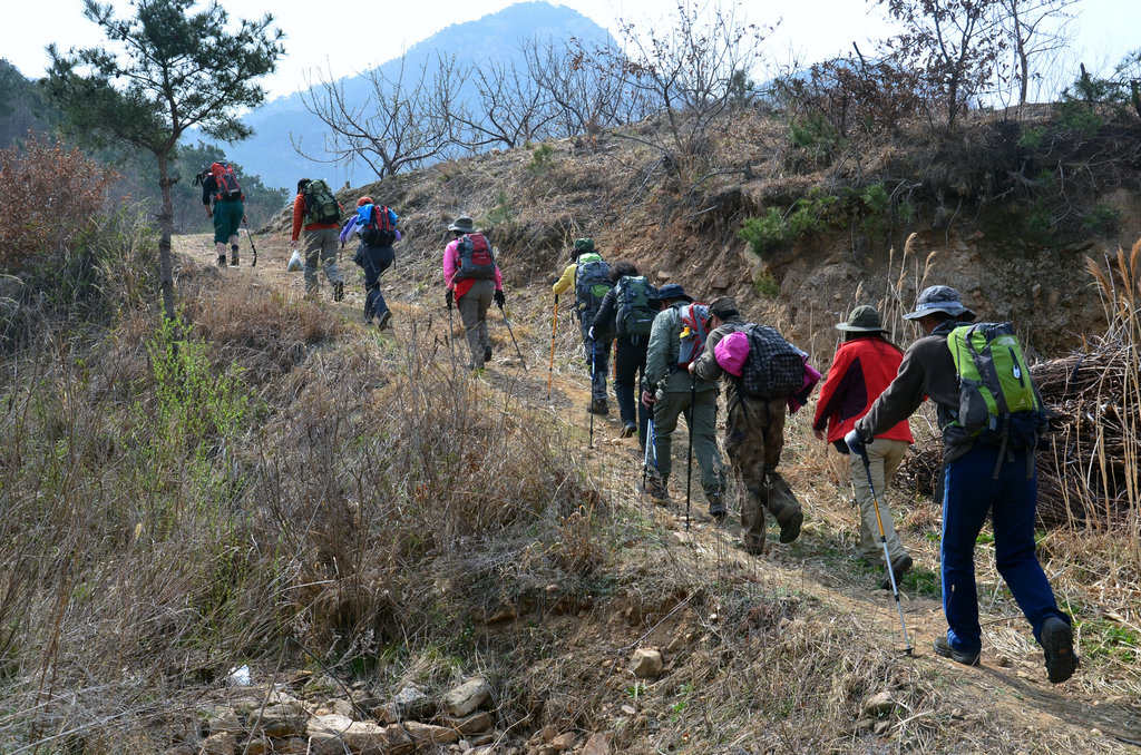 复件 DSC_8546.jpg