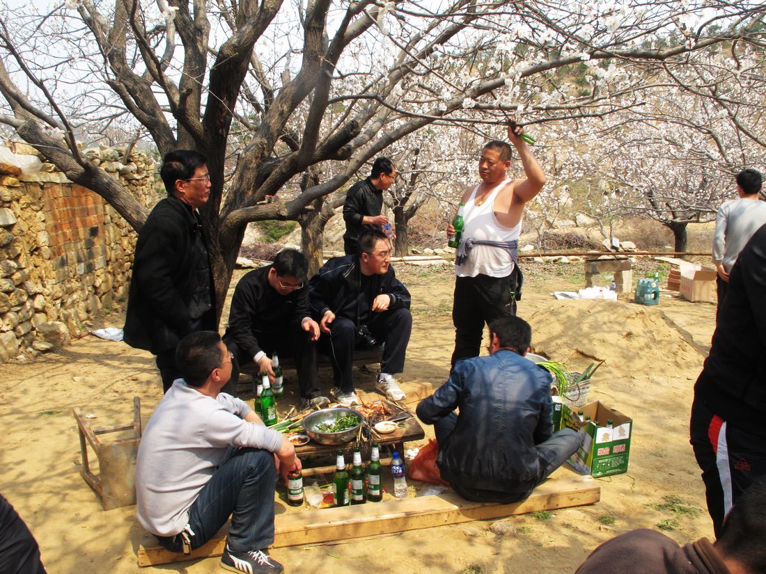 nEO_IMG_2012-4-15赏杏花 163.jpg