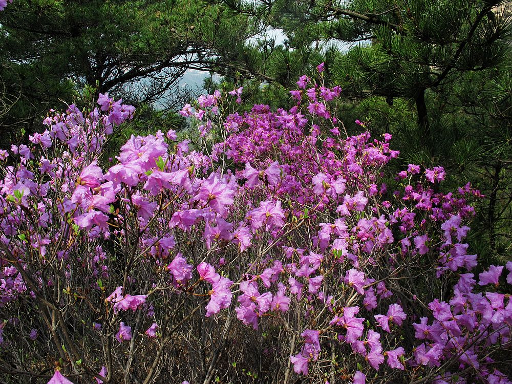 IMG_7678.jpg