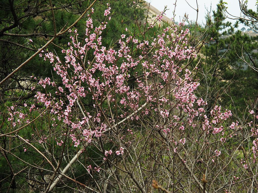 IMG_7694.jpg