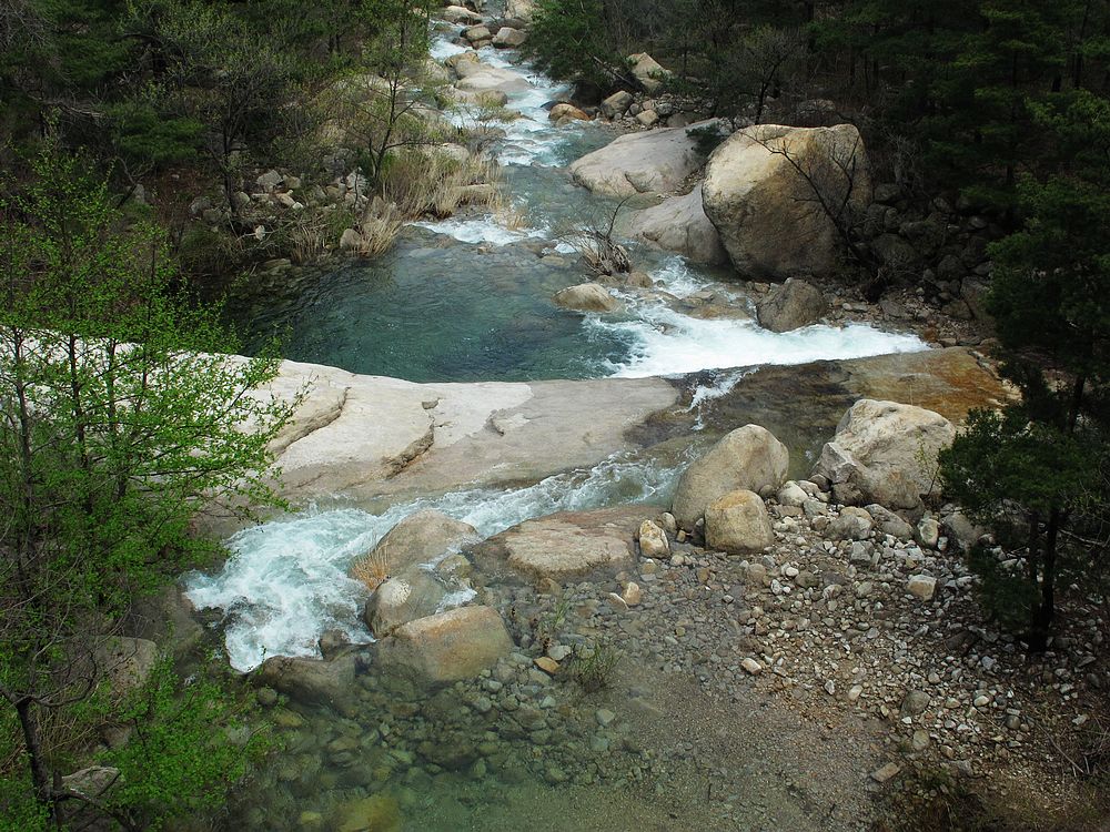IMG_7699.jpg