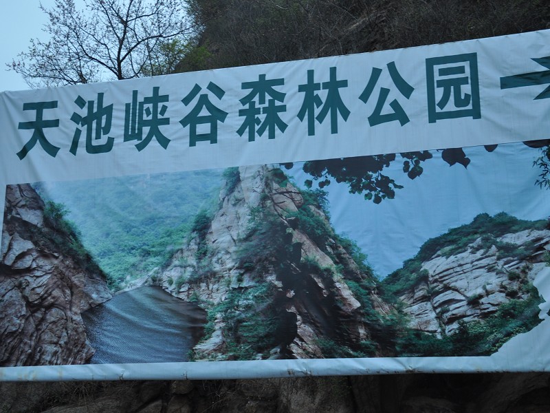 PhotoCap_233.jpg