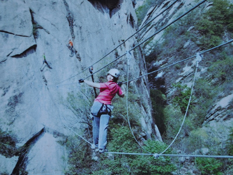 PhotoCap_231.jpg