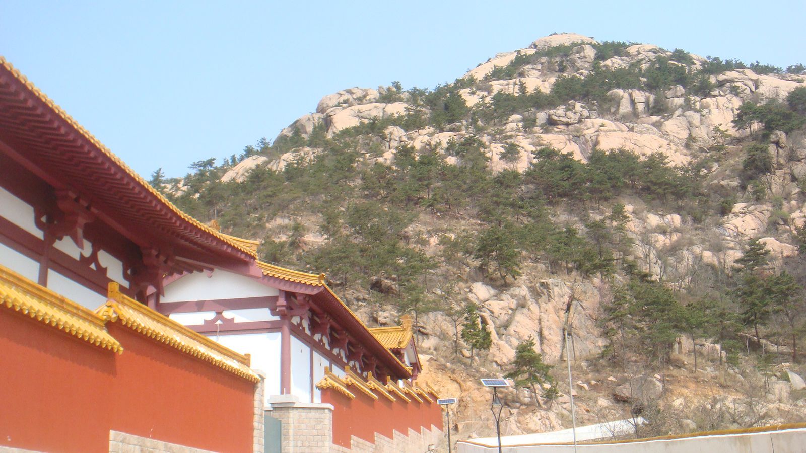 nEO_IMG_DSC09905.jpg