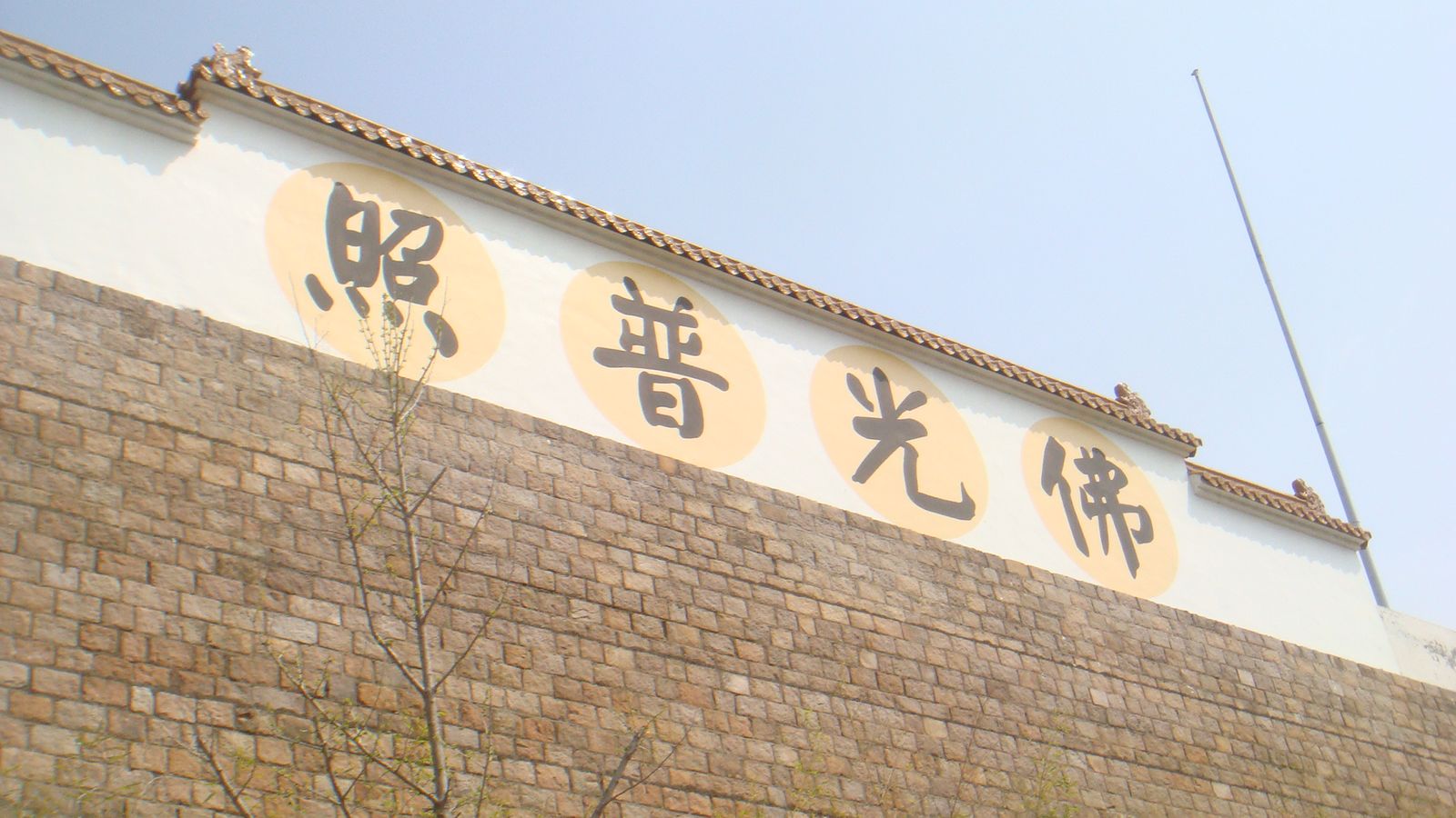 nEO_IMG_DSC09902.jpg