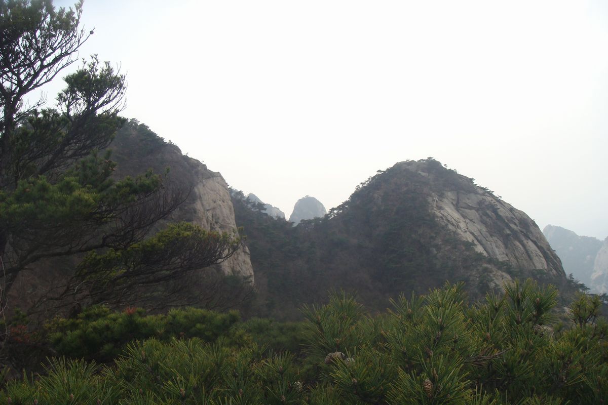 DSC03257.JPG
