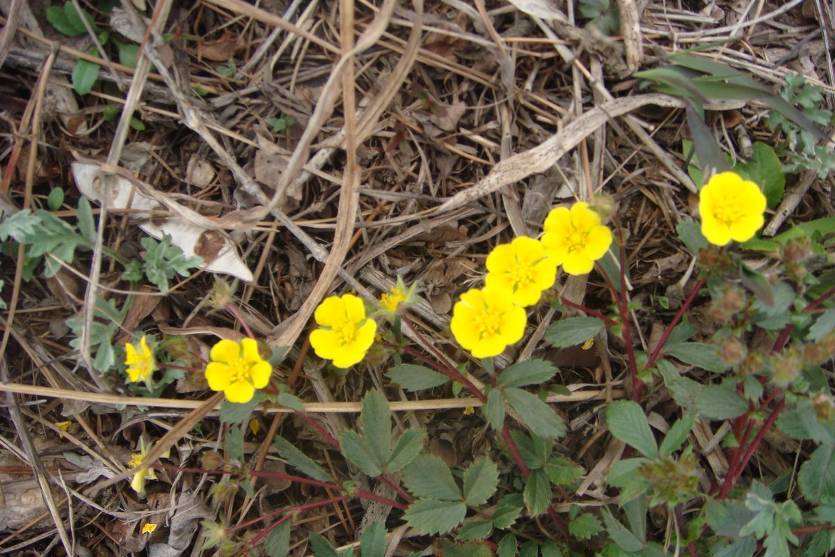 DSC03271.JPG