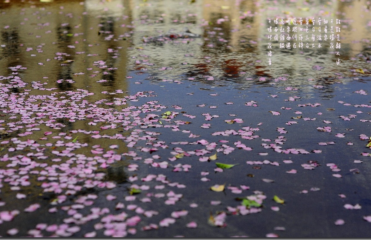 落花有意，流水无情 (28)_conew1.jpg