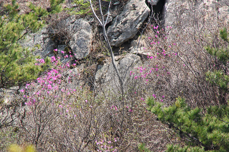 IMG_5273_副本.jpg