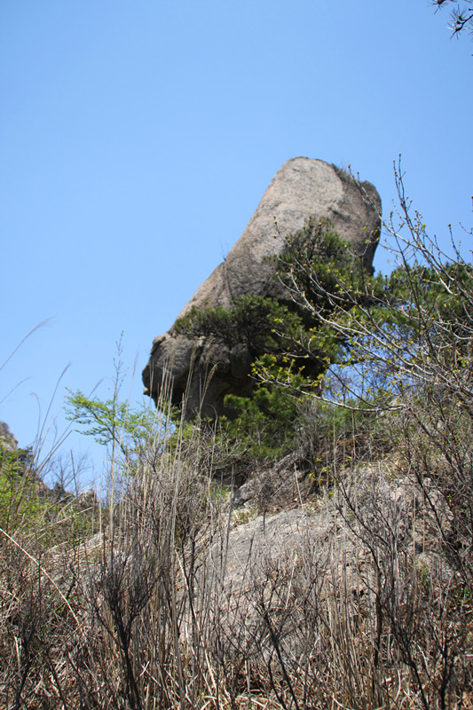 IMG_5297_副本.jpg