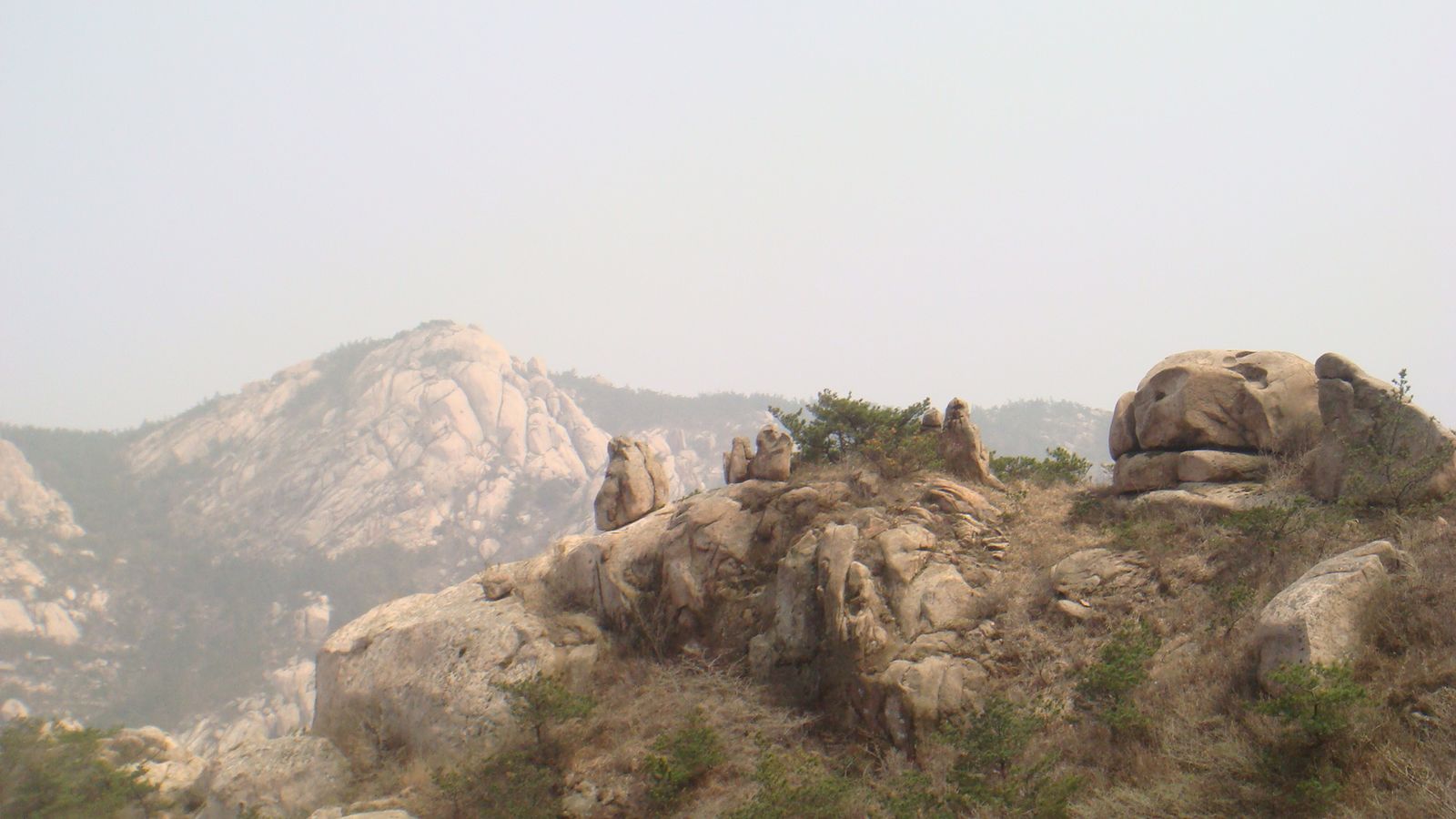 nEO_IMG_DSC00141.jpg
