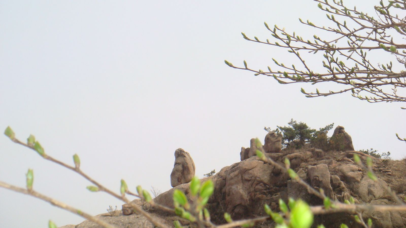 nEO_IMG_DSC00145.jpg