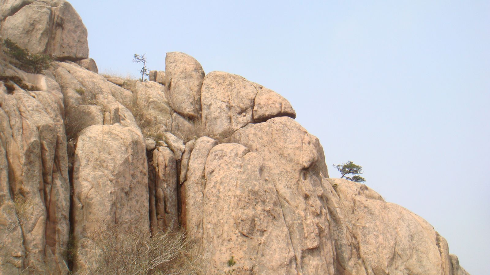 nEO_IMG_DSC00139.jpg