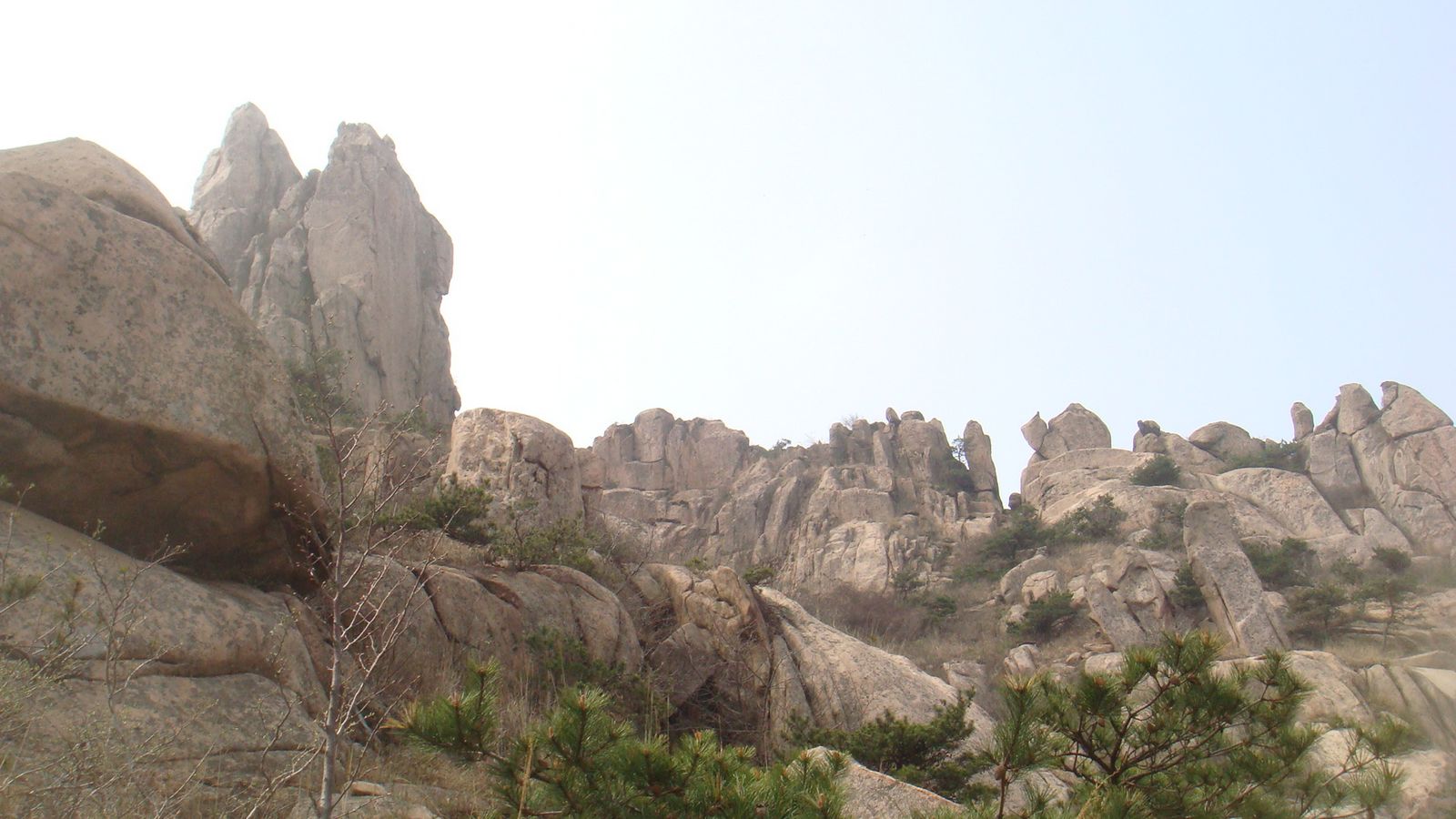 nEO_IMG_DSC00154.jpg