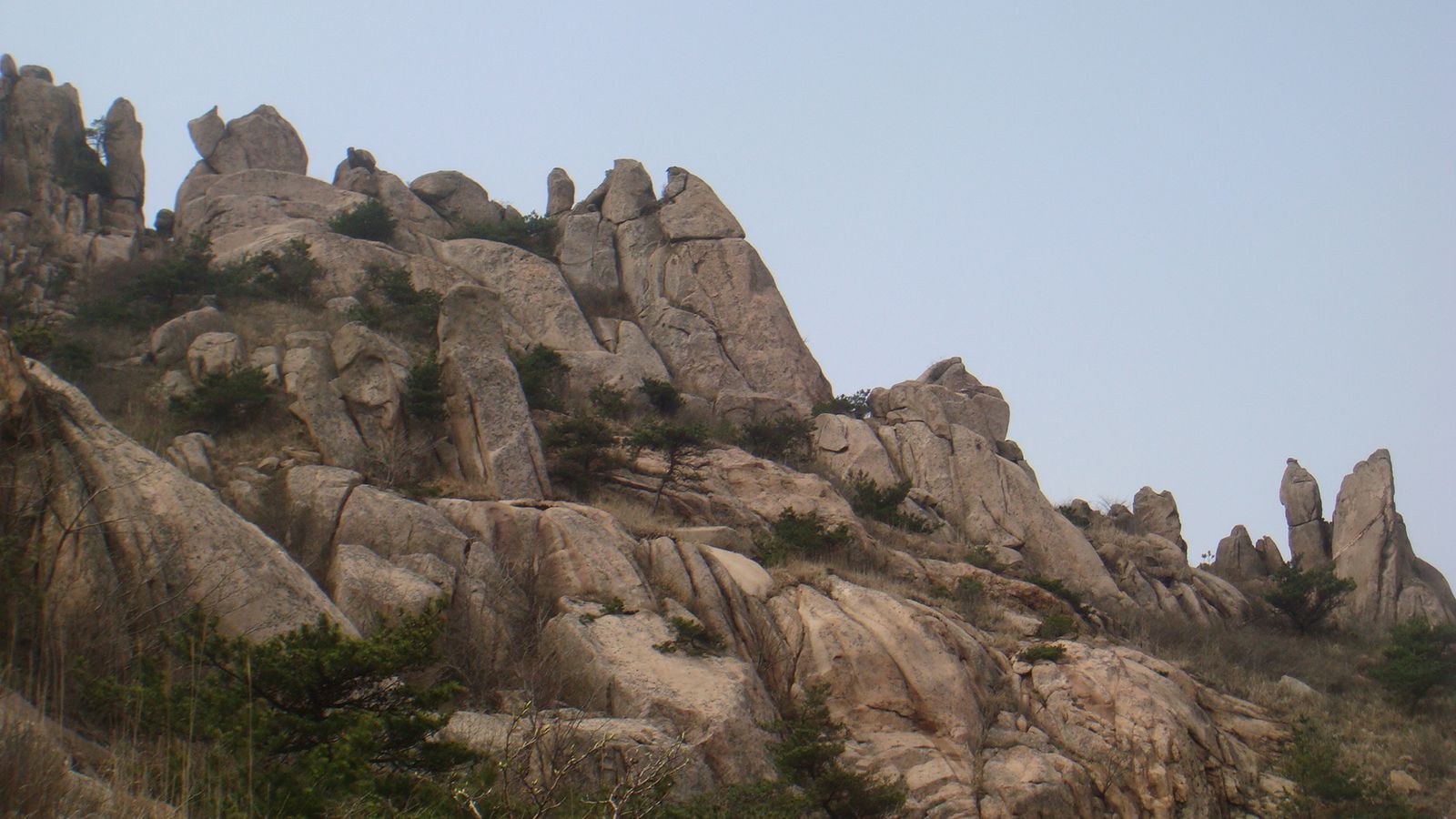nEO_IMG_DSC00149.jpg