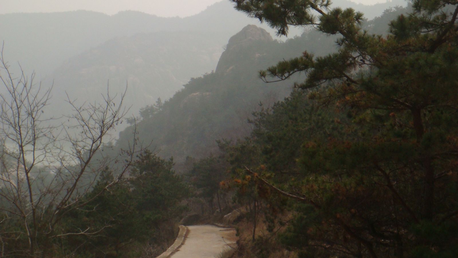nEO_IMG_DSC00186.jpg