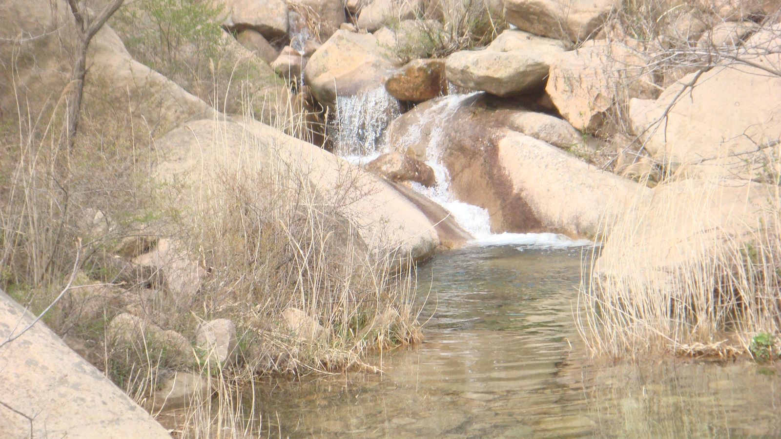nEO_IMG_DSC00175.jpg