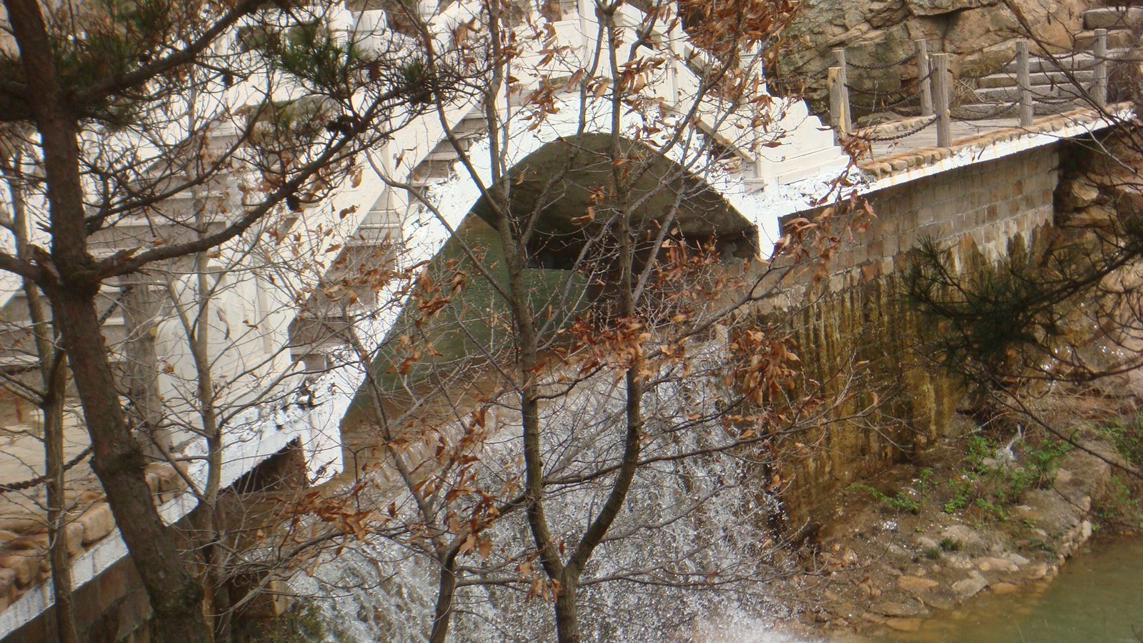 nEO_IMG_DSC00207.jpg