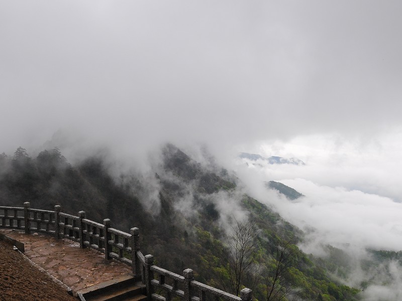 PhotoCap_262.jpg