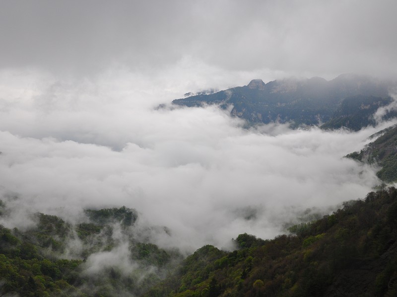 PhotoCap_261.jpg