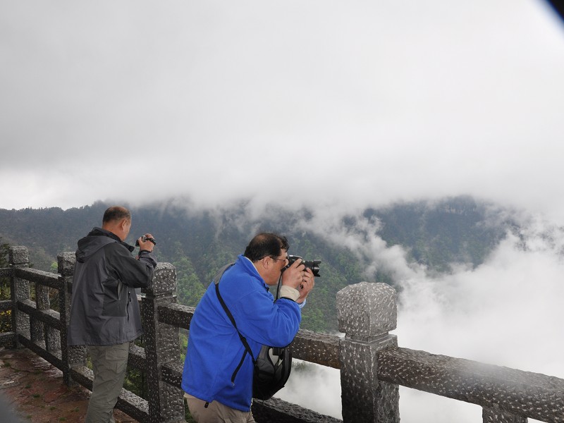 PhotoCap_290.jpg