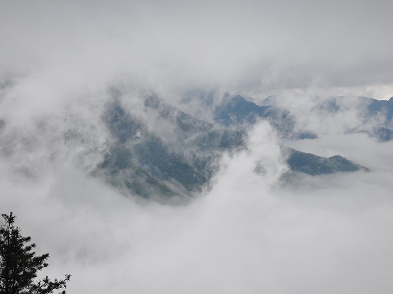 PhotoCap_316.jpg