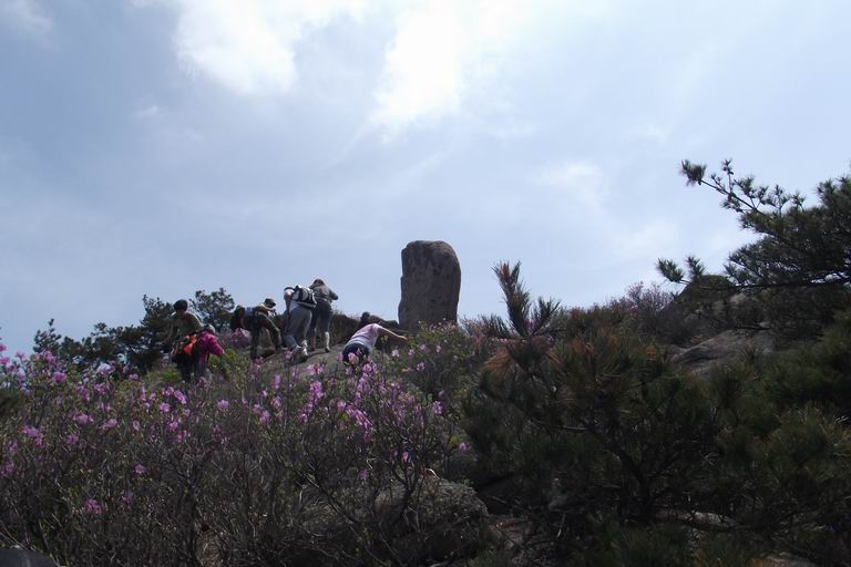 DSCF5536.JPG