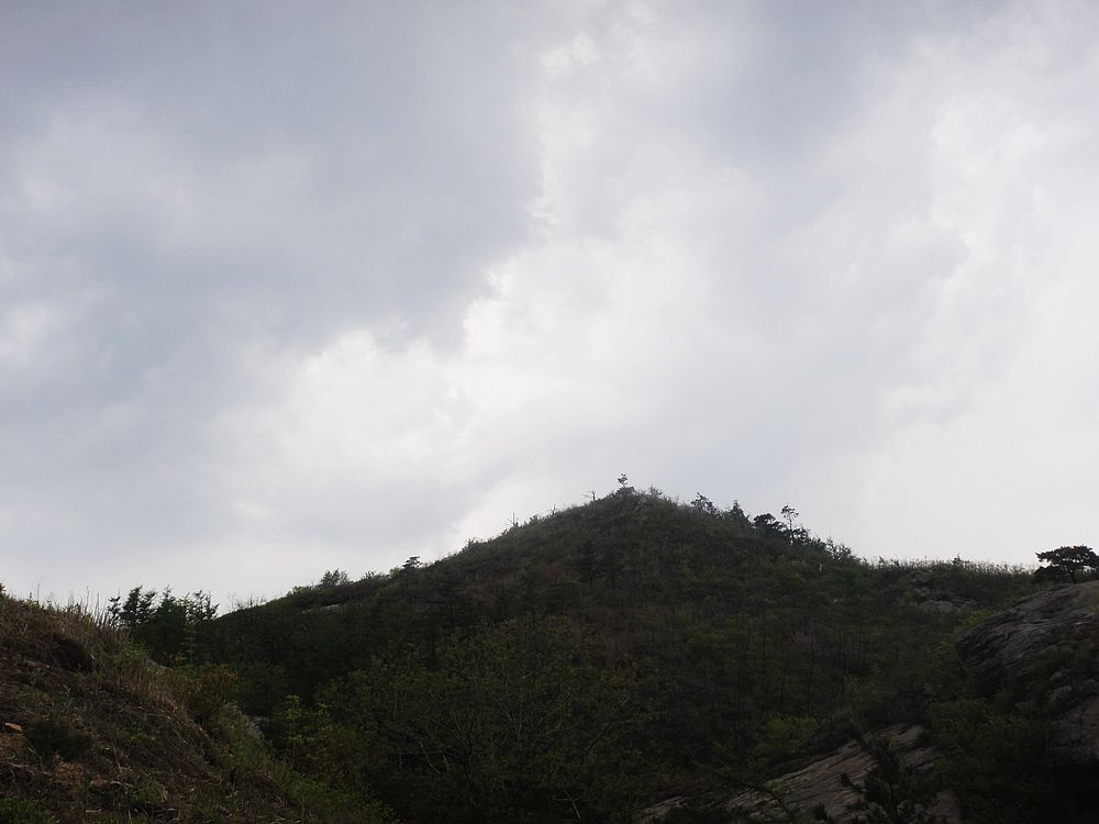 DSC00988.jpg