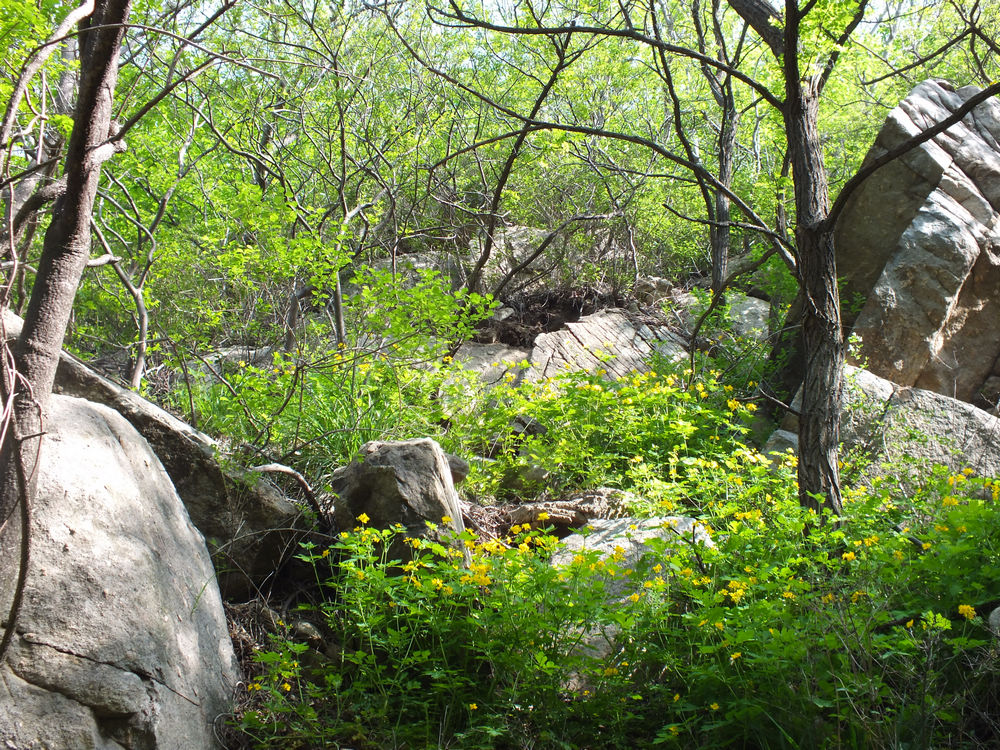 DSCF3647.JPG