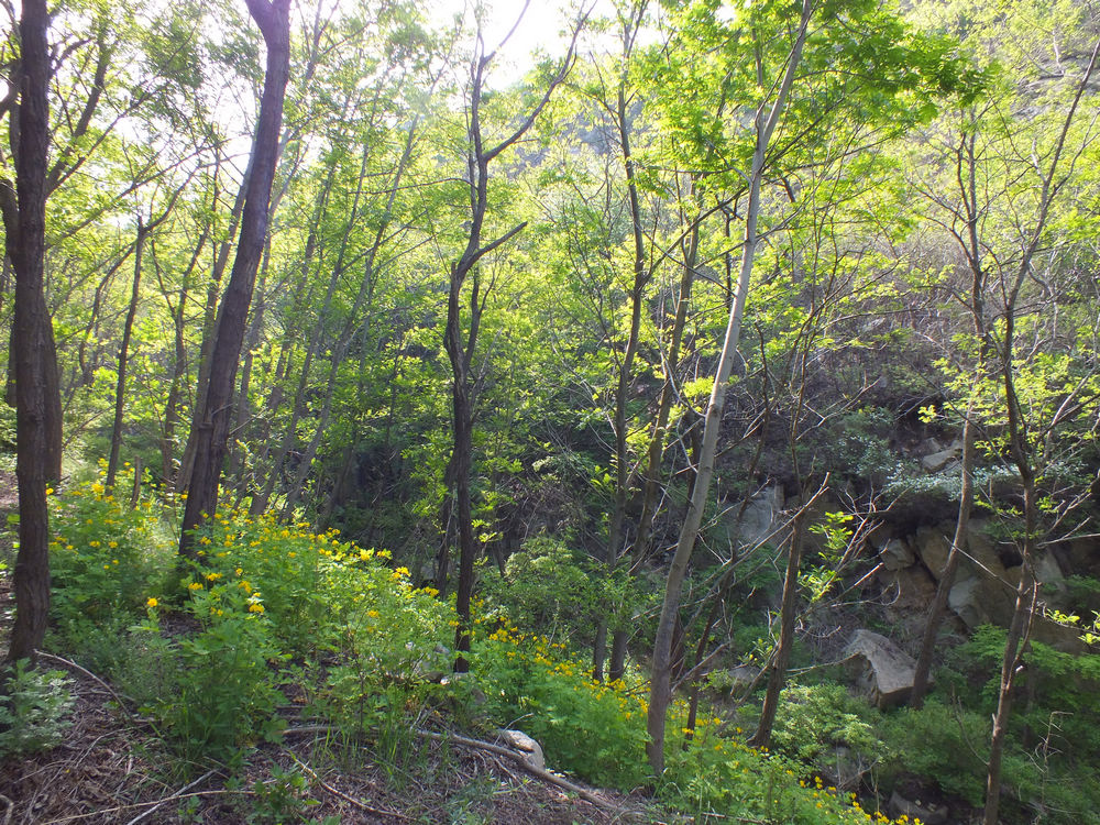 DSCF3644.JPG