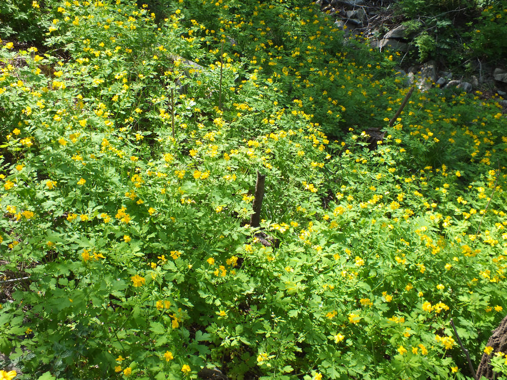 DSCF3643.JPG