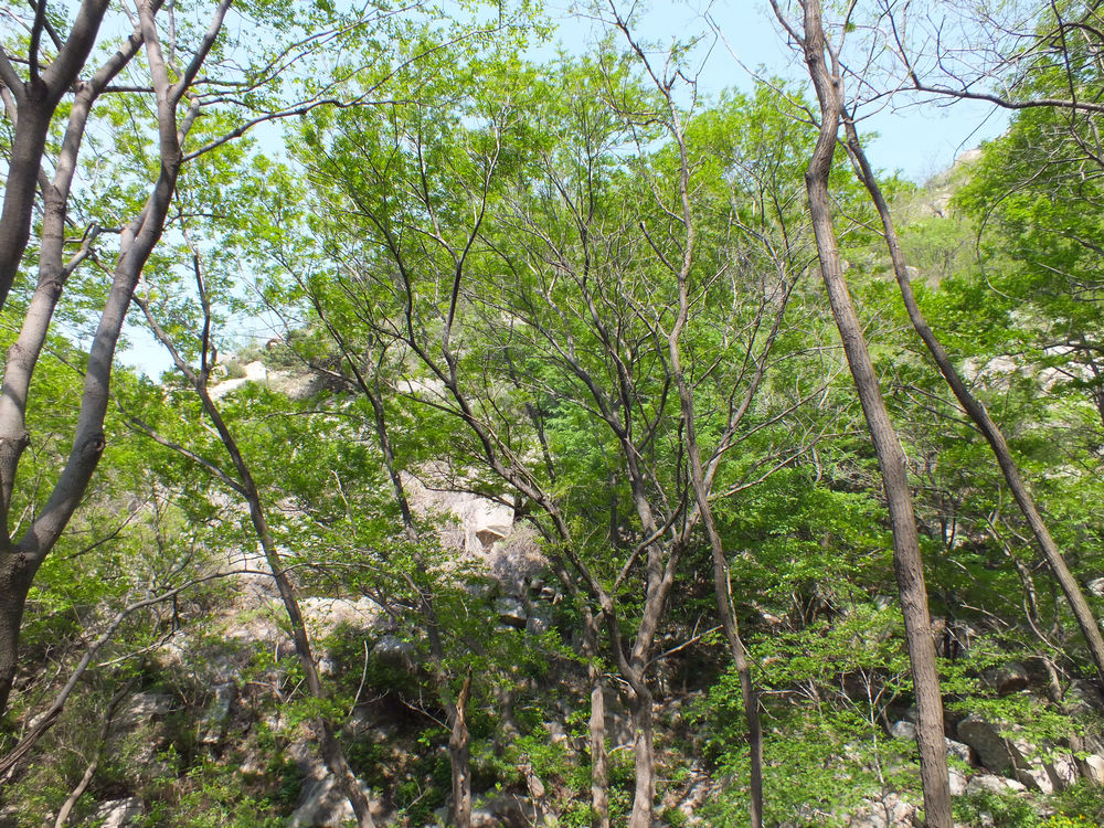 DSCF3689.JPG