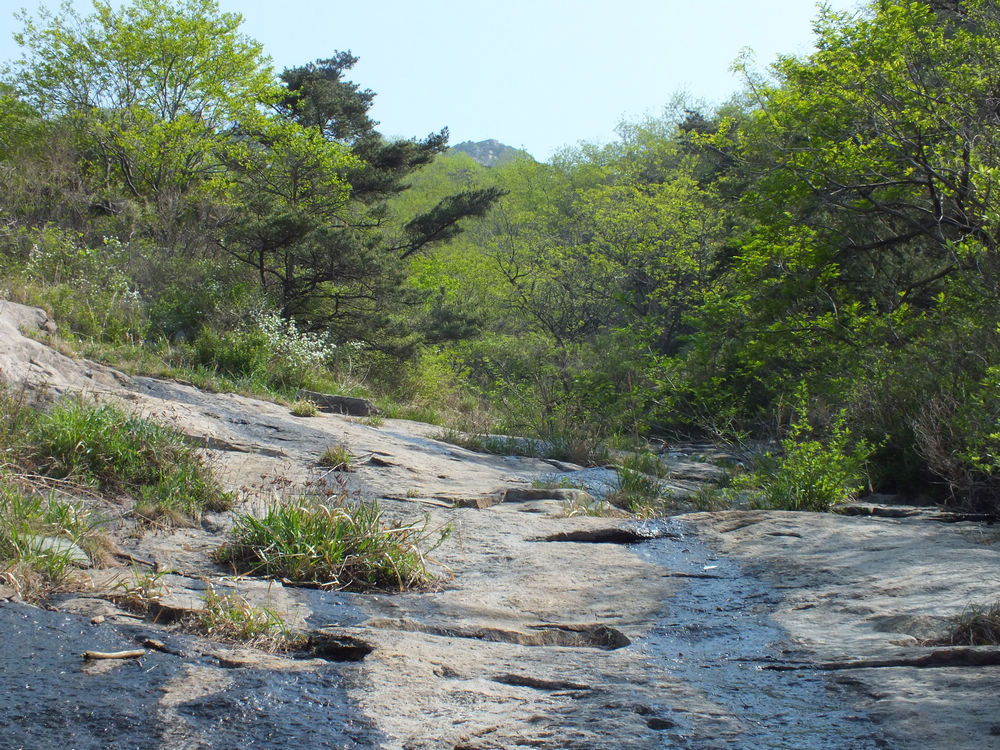 DSCF3676.JPG