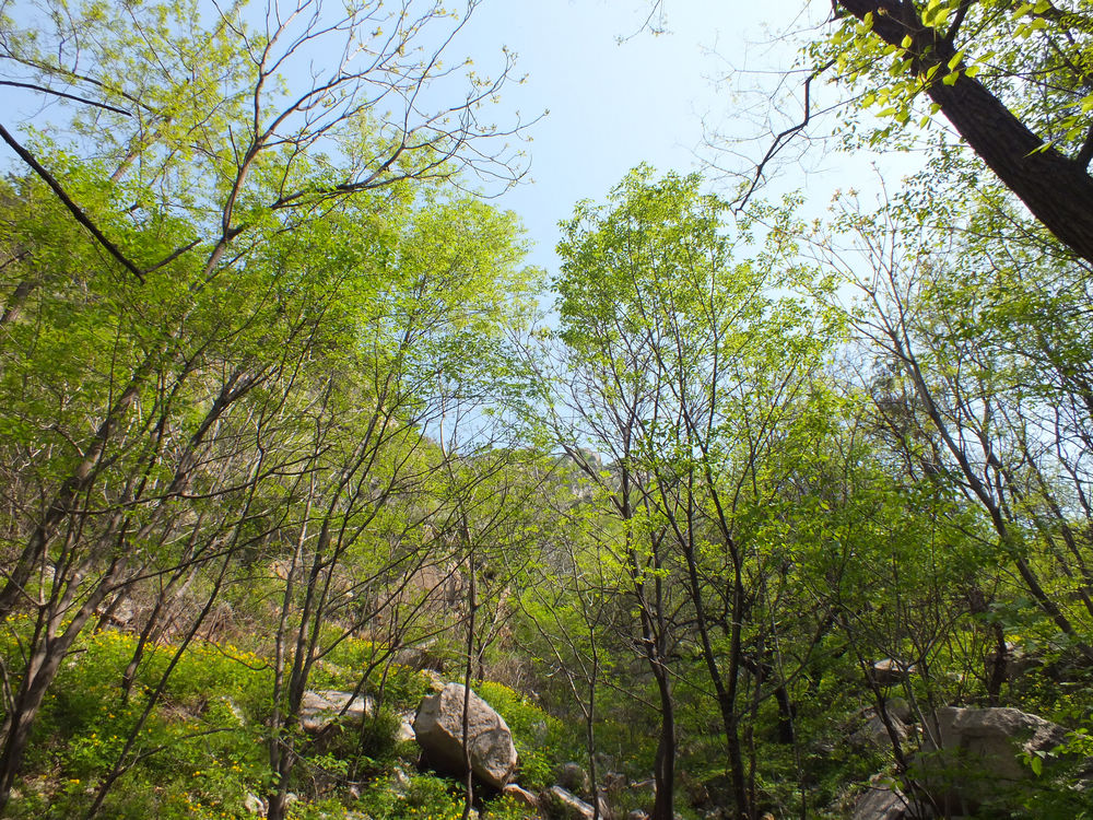 DSCF3705.JPG