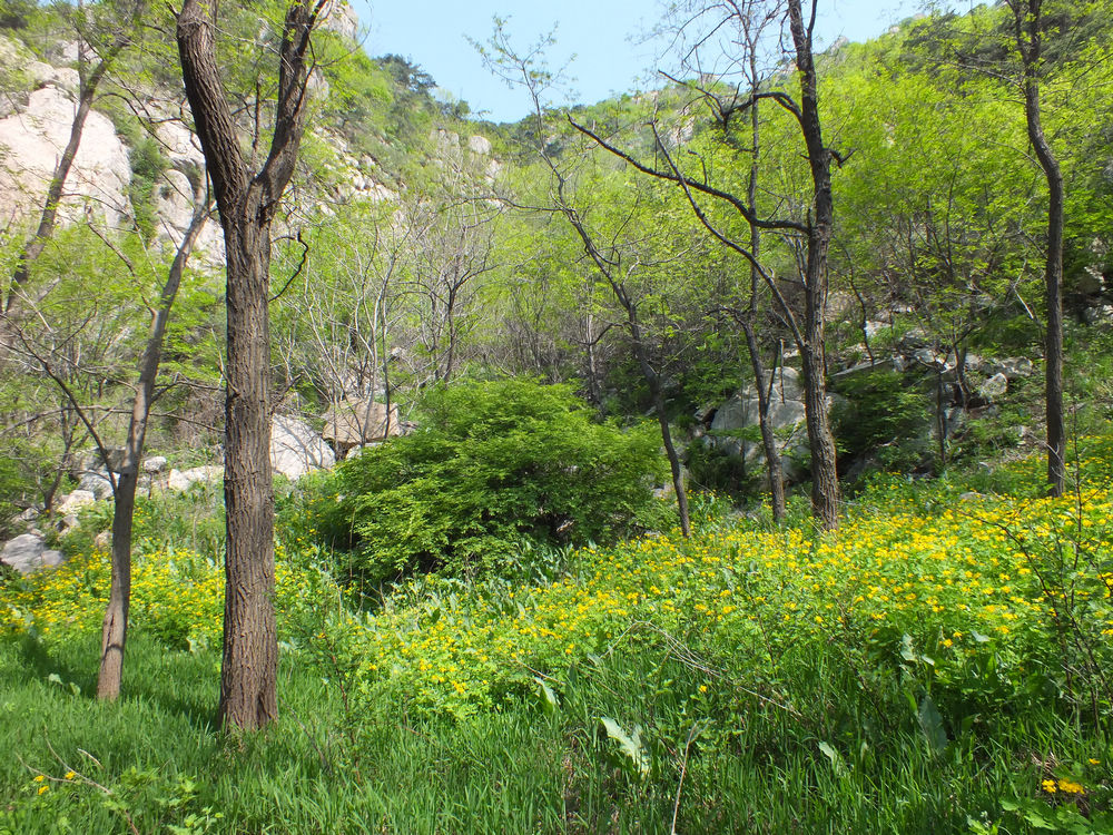 DSCF3709.JPG