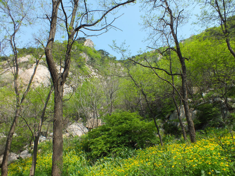 DSCF3710.JPG