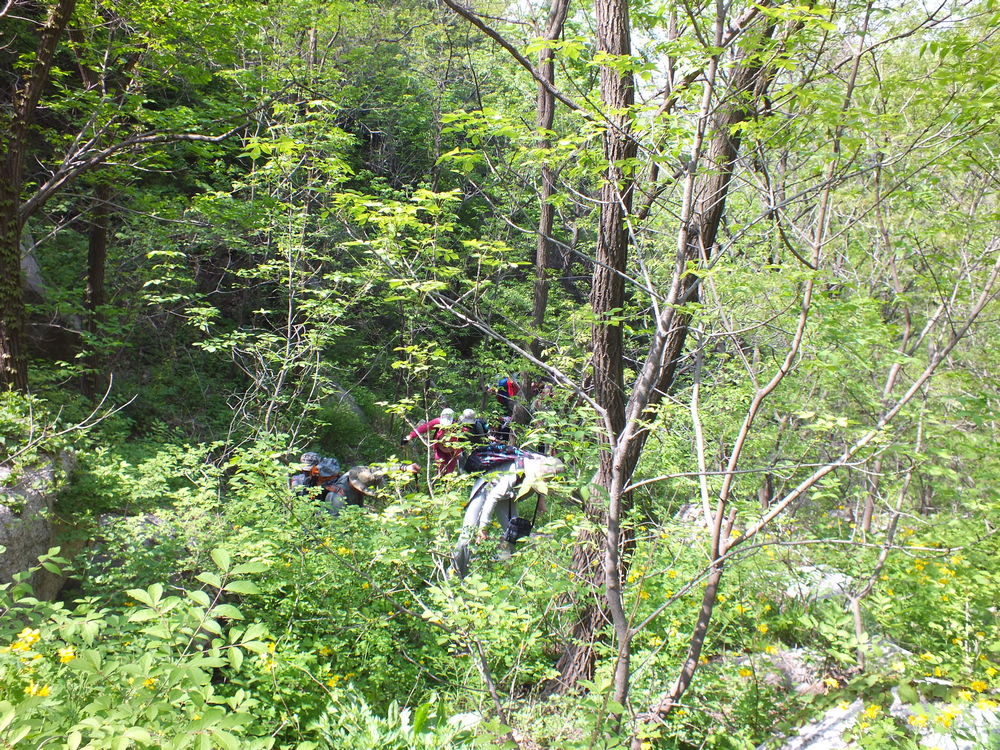 DSCF3702.JPG