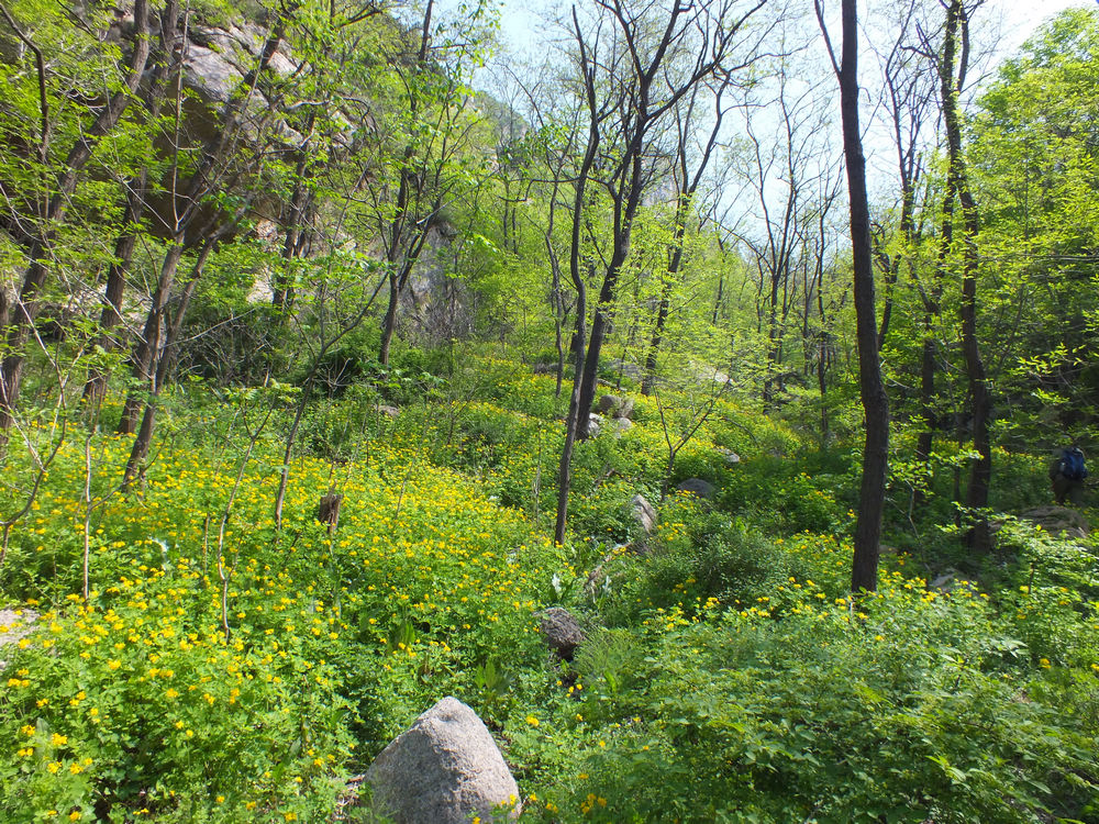 DSCF3703.JPG
