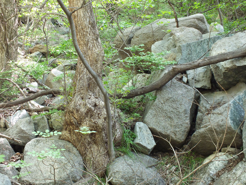 DSCF3695.JPG